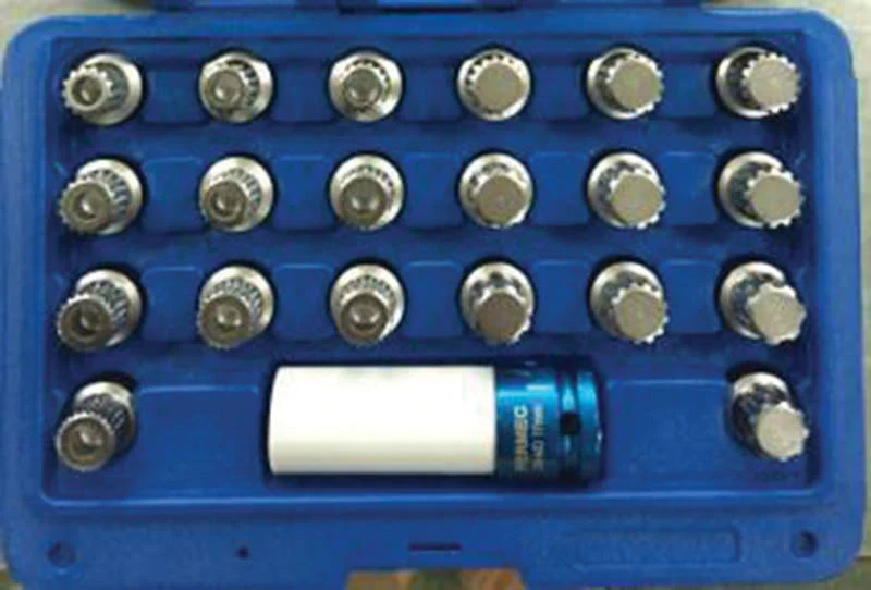 SET 21 PEZZI, INSERTI SPECIALI PER BULLONI DI SICUREZZA PER BMW Fermec 8932