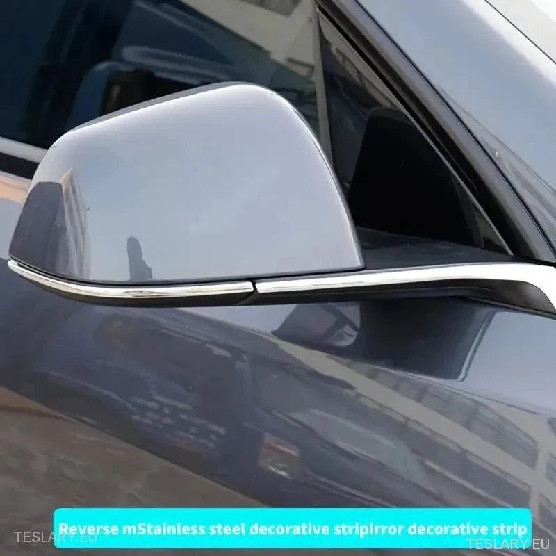 Tesla Modelo Y Late